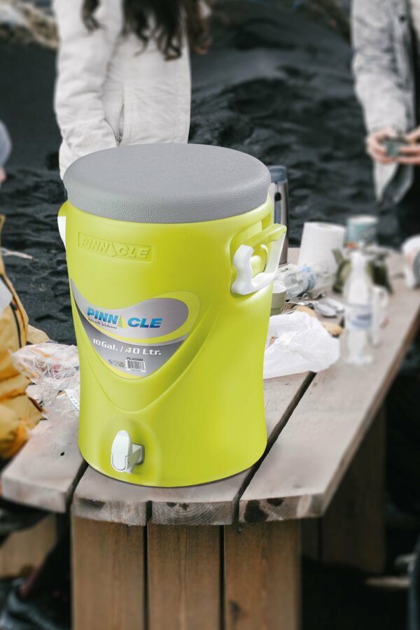 ΘΕΡΜΟΣ PLATINO 10 GAL/40LTR - Image 3
