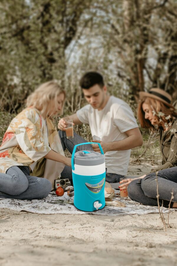 ΘΕΡΜΟΣ PLATINO 1 GAL/4LTR - Image 3