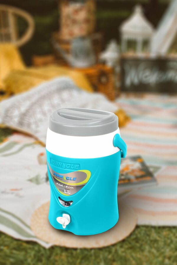 ΘΕΡΜΟΣ PLATINO 2 GAL/8LTR - Image 3